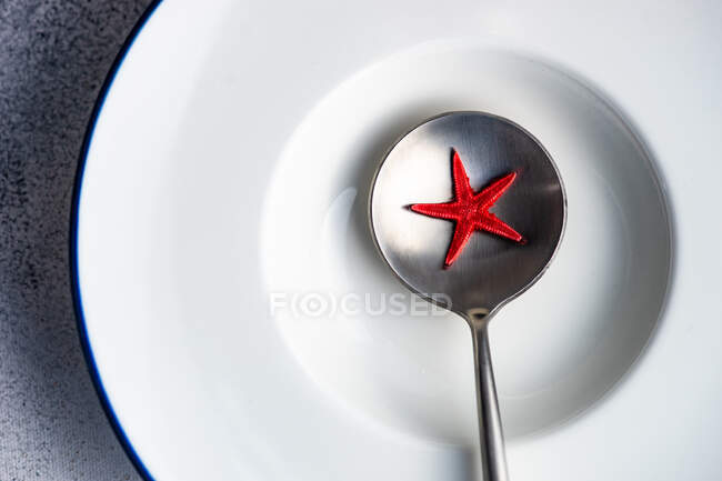 Overhead view of a marine themed place setting on a table — Stock Photo