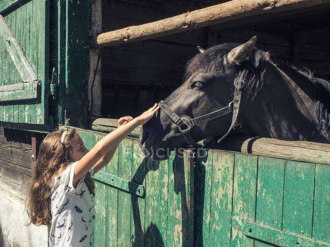 Chica parada junto a una puerta del establo acariciando un caballo, Polonia - foto de stock