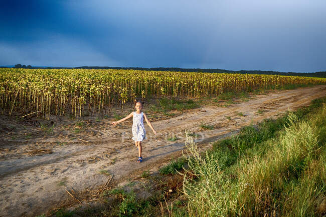 Girl walking along the edge of a sunflower field with her arms outstretched, Hungary — Stock Photo