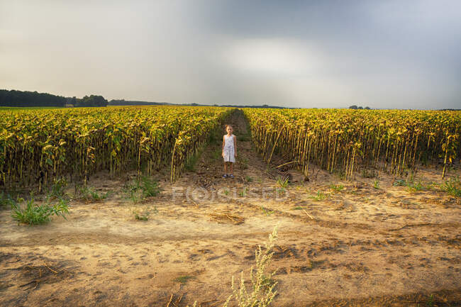 Девушка, стоящая на подсолнечном поле, Венгрия — стоковое фото