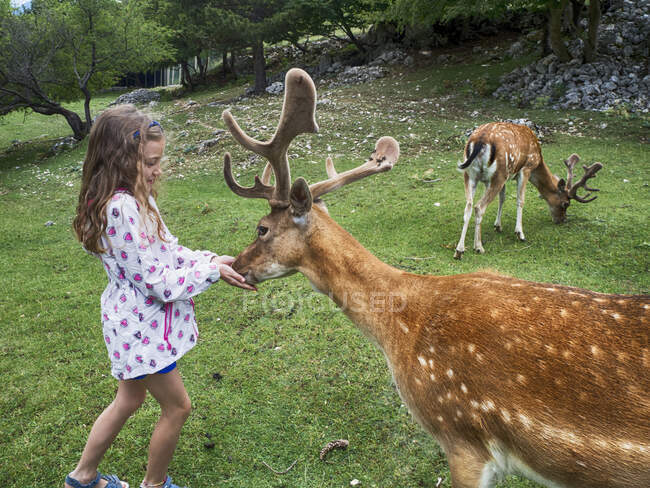 Chica acariciando un ciervo, Abruzos, Italia - foto de stock
