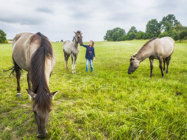 Дівчина стоїть на лузі і гладить коня (Польща). — стокове фото
