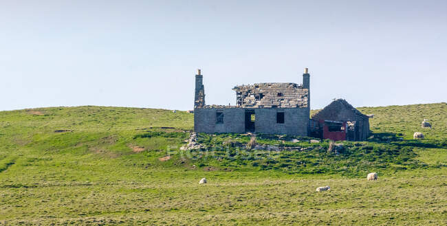 Casa abandonada numa ilha no Pentland Firth, Escócia, Reino Unido — Fotografia de Stock