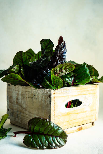 Foglie fresche di basilico biologico verde in una scatola di legno su sfondo bianco — Foto stock