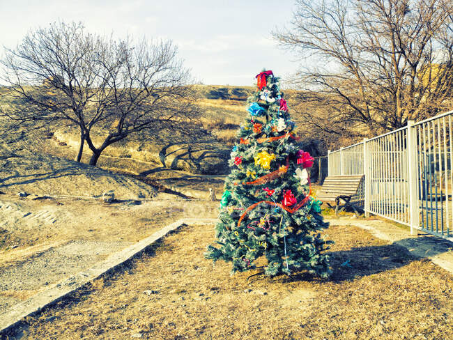 Bel arbre de Noël dans le jardin — Photo de stock