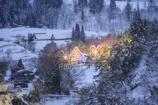 Красивий зимовий пейзаж зі снігом і деревами — стокове фото