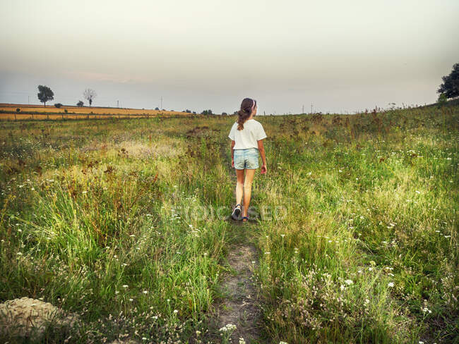 Вид сзади на девушку, гуляющую в сельской местности, Польша — стоковое фото