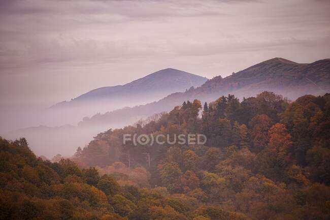 Forêt d'automne et Malvern Hills dans la brume, Worcestershire, Angleterre, Royaume-Uni — Photo de stock