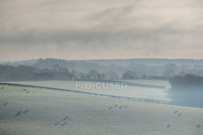Mattinata gelida in campagna rurale, Warwickshire, Inghilterra, Regno Unito — Foto stock