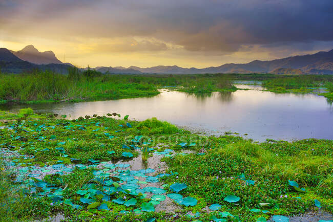 Lago Lebo, Taliwang, Ilha de Sumbawa Ocidental, Indonésia — Fotografia de Stock