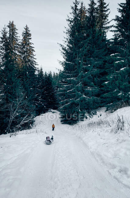 Dos niños bajando en trineo por una montaña, Bulgaria - foto de stock