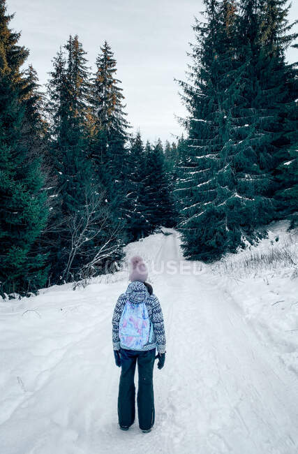 Rear view of a girl standing on a snowy footpath in the forest, Bulgaria — Stock Photo