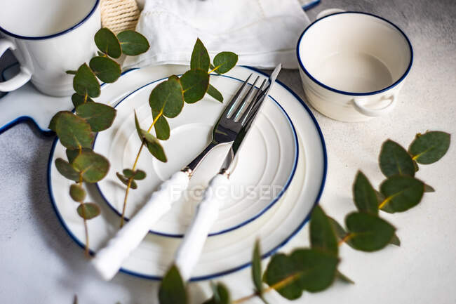 Easter place setting with eucalyptus stems — Stock Photo
