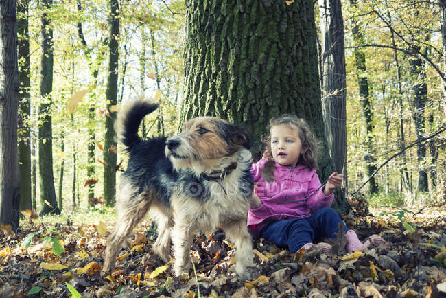 Fille assise dans la forêt jouant avec son chien, Pologne — Photo de stock