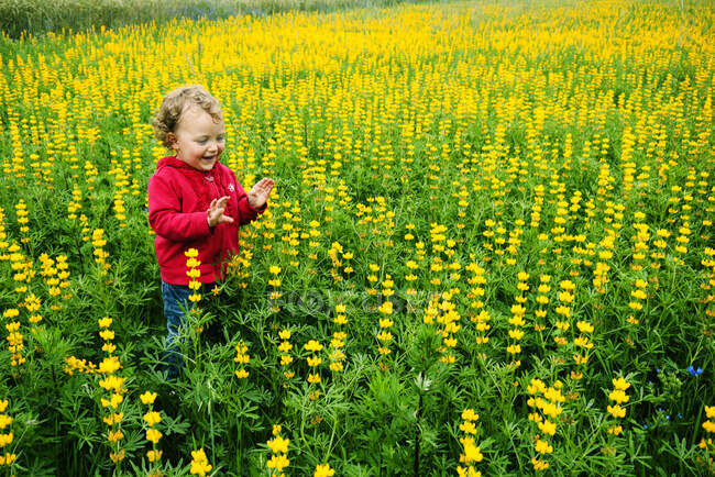 Chica de pie en un prado con flores silvestres, Polonia - foto de stock