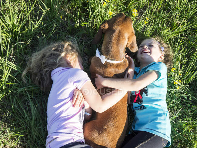Над головою відкривається вид на двох дівчат, які лежать на траві, обіймаючись зі своїм собакою (Польща). — стокове фото