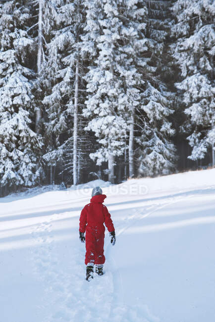 Caminata trasera en la nieve en invierno, Bulgaria - foto de stock