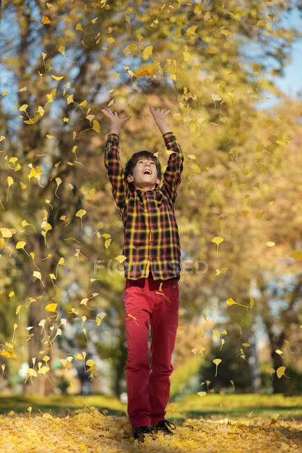 Ragazzo gettando foglie autunnali in aria, Bulgaria — Foto stock
