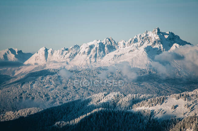 Snow covered forest and mountain landscape, Salzburg, Austria — Stock Photo