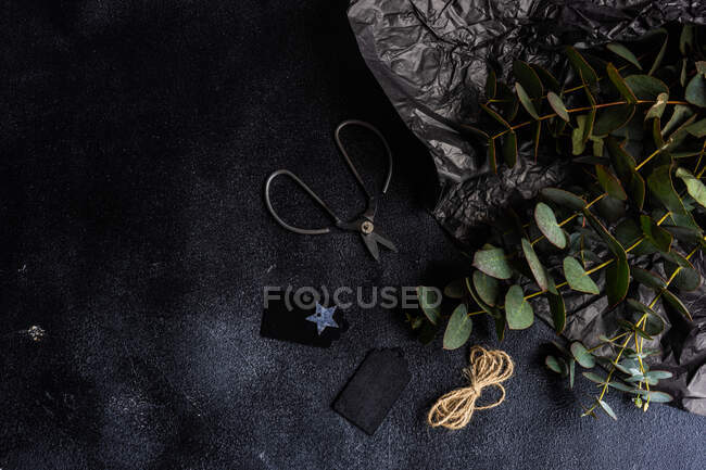 Hastes de eucalipto com etiquetas de presente, corda e tesoura — Fotografia de Stock
