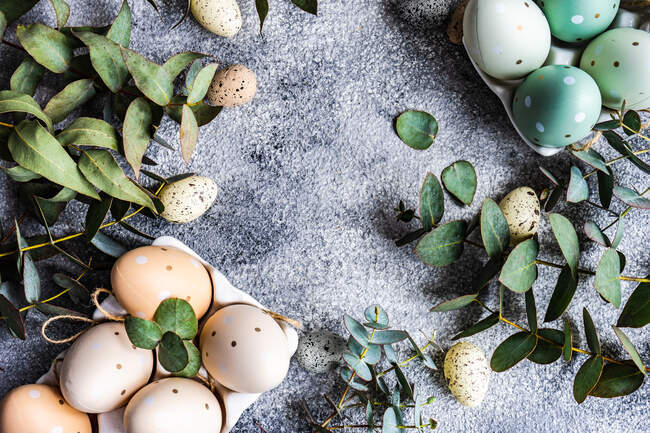 Пасхальные яйца в коробках фарфоровых яиц со стеблями эвкалипта — стоковое фото