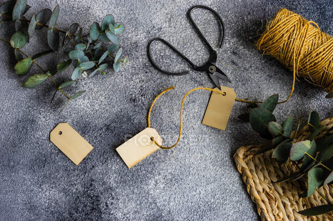 Ramas de eucalipto con etiquetas de regalo, cuerda y tijeras - foto de stock