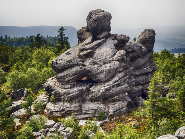 Formation rocheuse de Dragon Head, Parc National des Montagnes Stolowe, Pologne — Photo de stock