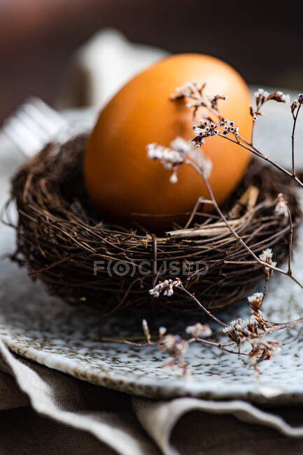 Ovo no ninho de um pássaro decorado com flores secas — Fotografia de Stock