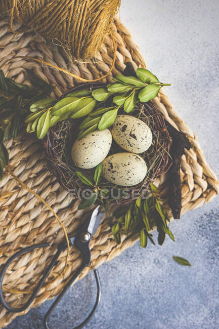 Пасхальные яйца в птичьем гнезде с листьями дерева на коврике — стоковое фото