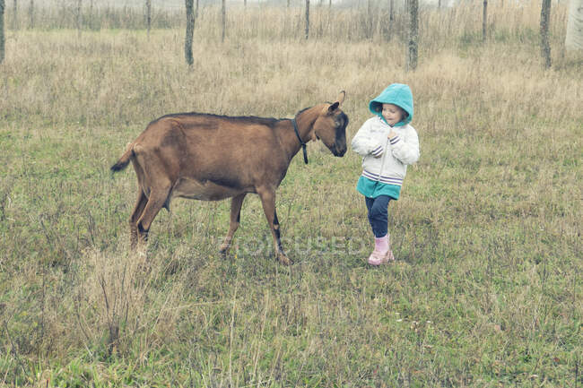 Chica de pie en un campo con una cabra, Polonia - foto de stock