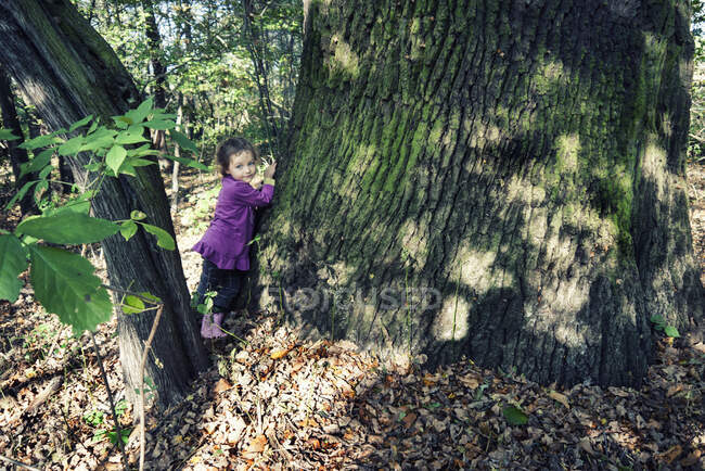 Fille appuyée contre un tronc d'arbre dans la forêt, Pologne — Photo de stock