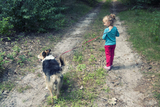 Vista posteriore di una ragazza che porta a spasso il suo cane nella foresta, Polonia — Foto stock