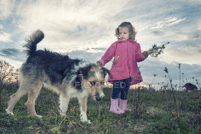 Ragazza che cammina nel paesaggio rurale con il suo cane, Polonia — Foto stock