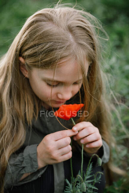 Retrato de una niña de pie en un campo oliendo amapola, Rusia - foto de stock