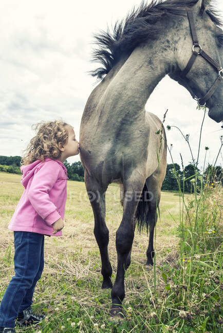 Chica de pie en un campo besando a un caballo, Polonia - foto de stock