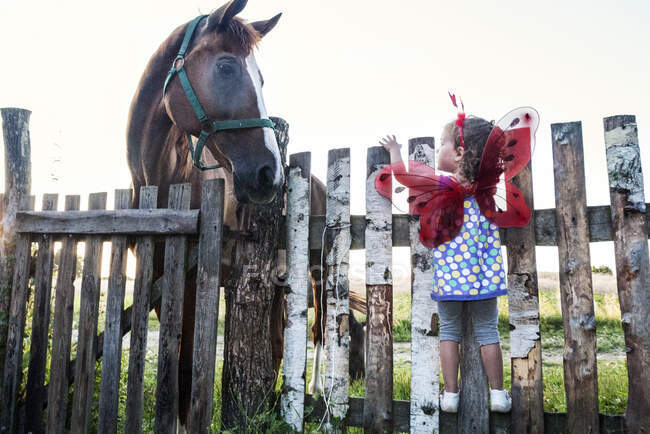 Girl wearing fairy wings standing on a fence looking at a horse — Stock Photo