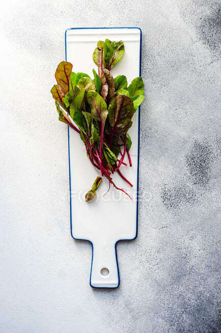Свежие свекловичные листья в качестве здоровой концепции приготовления пищи на каменном фоне с копировальным пространством — стоковое фото