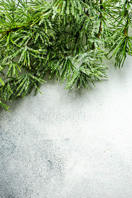 El primer plano de un hielo cubierto de ramas de abeto - foto de stock
