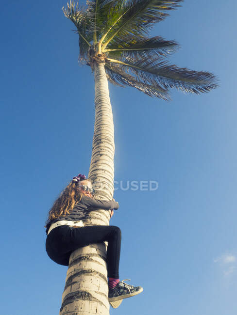 Girl climbing a palm tree, Canary Islands, Spain — Stock Photo