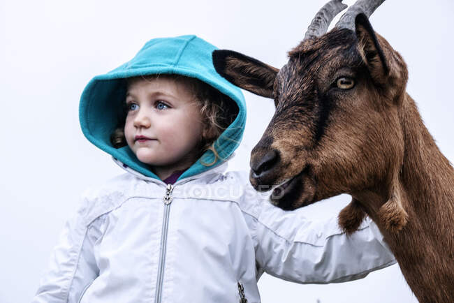Портрет девушки, гладящей козу, Польша — стоковое фото