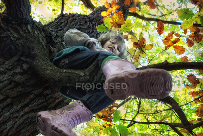 Vista de ángulo bajo de una niña sentada en un árbol en el bosque, Polonia - foto de stock