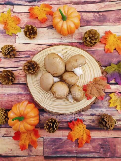 Champiñones frescos con hojas rústicas de otoño y decoraciones de conos de pino - foto de stock