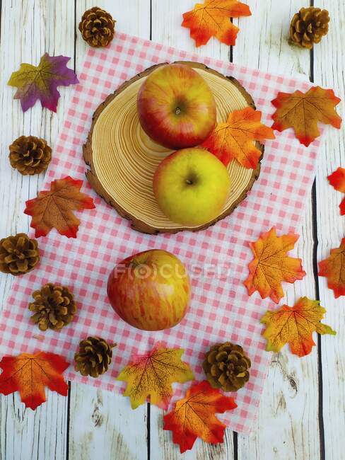 Свежие яблоки с деревенскими осенними листьями и сосновыми украшениями на клетчатом коврике — стоковое фото
