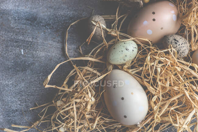 Concetto di carta di Pasqua con colorato in colori pastello uovo su sfondo di cemento — Foto stock
