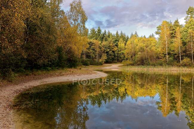 Reflexão em um lago florestal, Hesel, Frísia Oriental, Baixa Saxônia, Alemanha — Fotografia de Stock