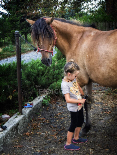 Chica limpiando la pezuña de un caballo, Polonia - foto de stock