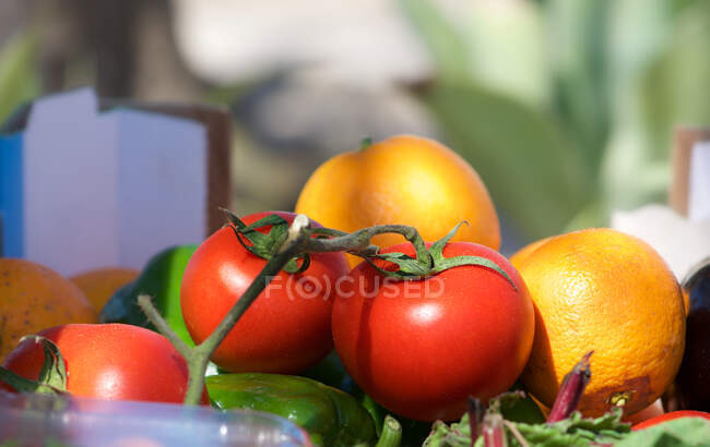 Primer plano de las naranjas, tomates y pimientos verdes en un mercado, Ta Qali, Malta - foto de stock