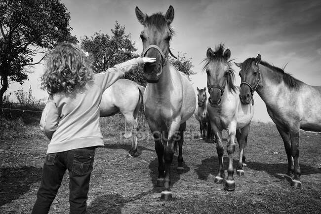 Visão traseira de uma menina brincando com cavalos em um campo, Polônia — Fotografia de Stock