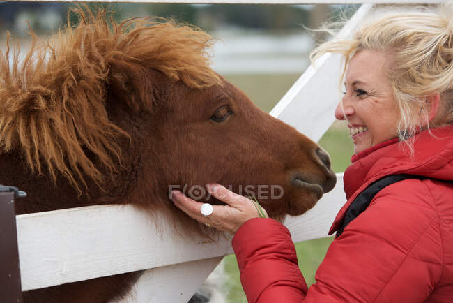 Mujer sonriente acariciando un caballo - foto de stock