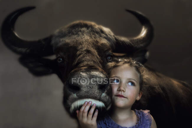 Retrato de una niña sonriente de pie con un buey - foto de stock